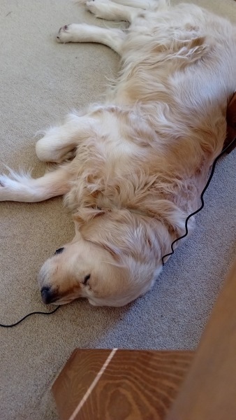 Cancer Support Thread 95 - No googling allowed 😊