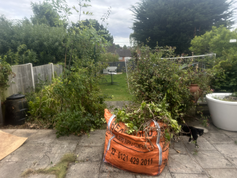 How to recover beds that have been overgrown with established weeds