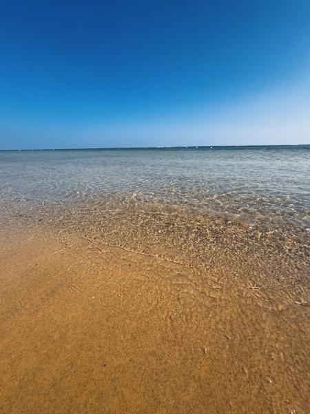 Anyone been to Tunisia recently?
