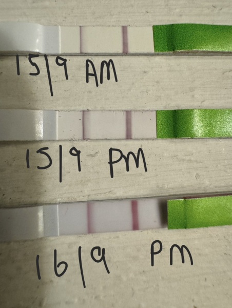 Ovulation test advise