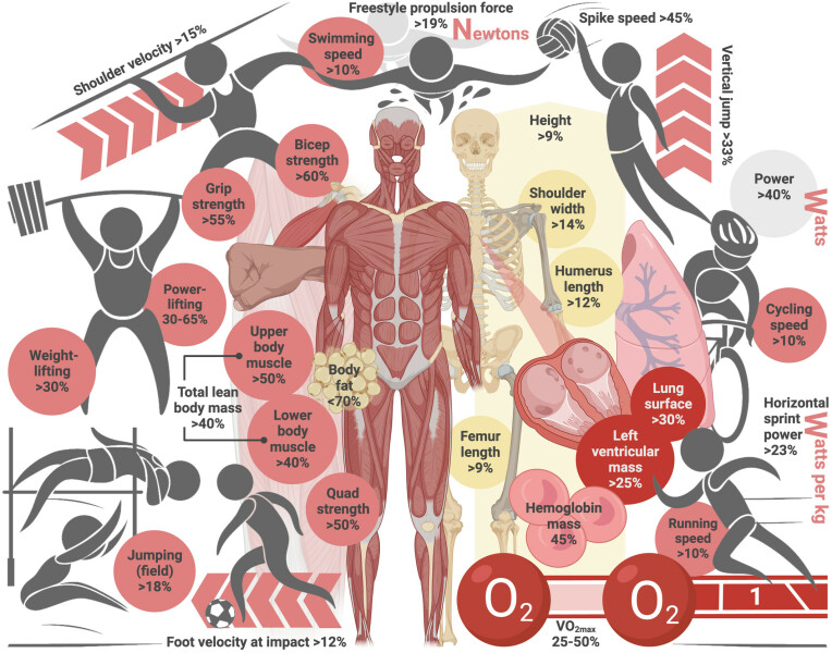 Save female sports evidence thread