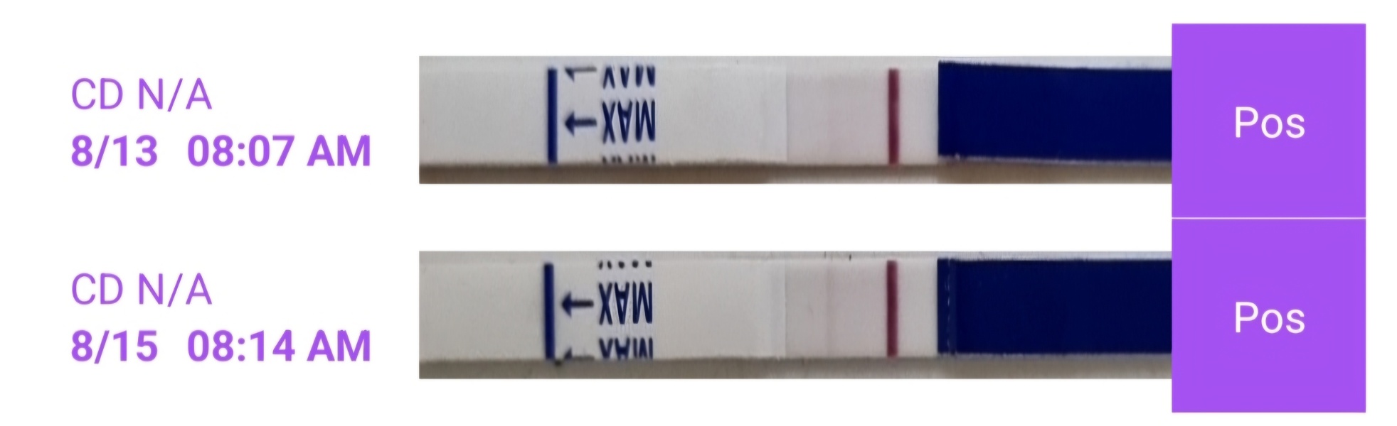 Pregnancy after loss part 2