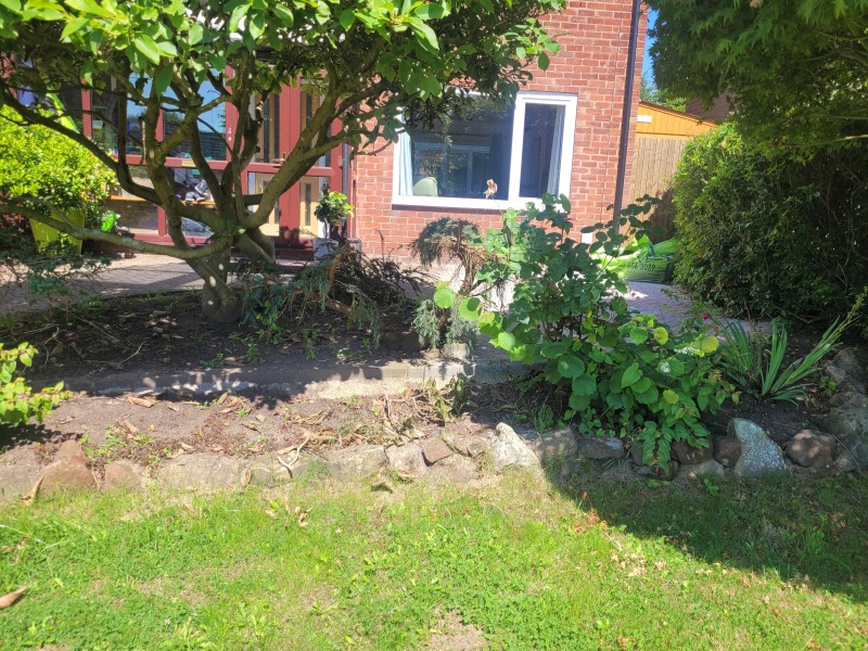 Help with a flowering perennial border
