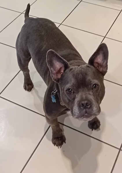 The support thread for anyone trying to lead an alcohol free life.