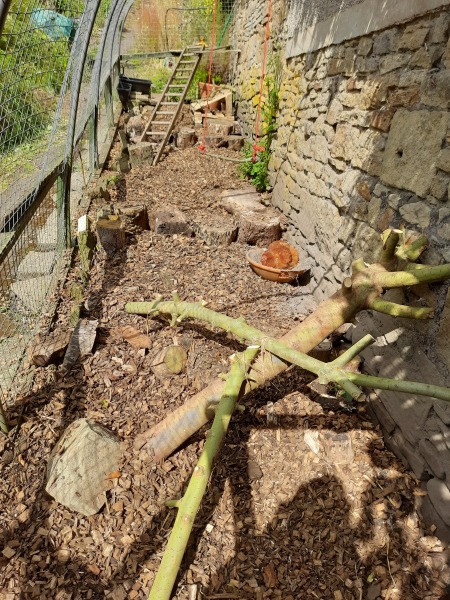 The cost of bringing this house up to date.
