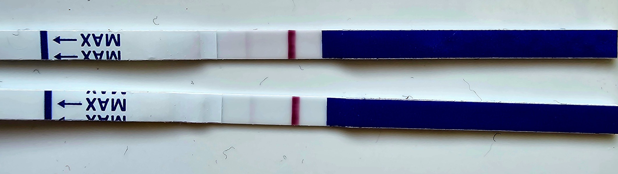 A line eye enthusiast #3