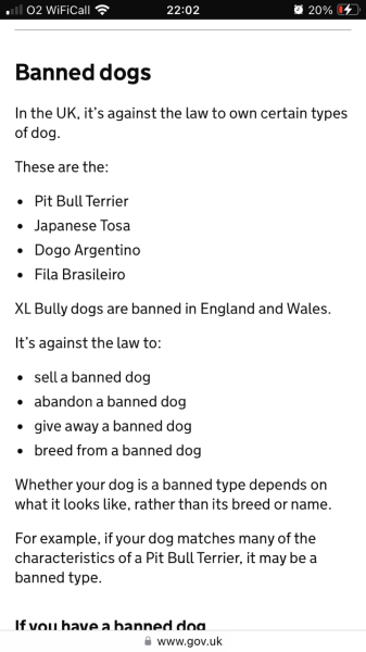 Neighbour HATES my dog!