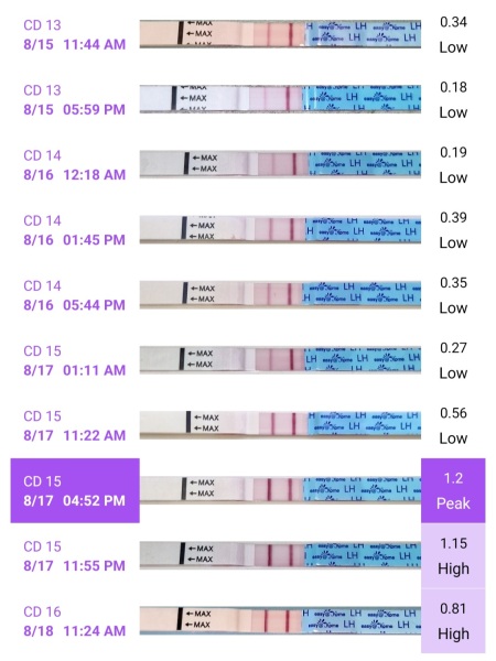 Anyone about to go into an ovulation week?