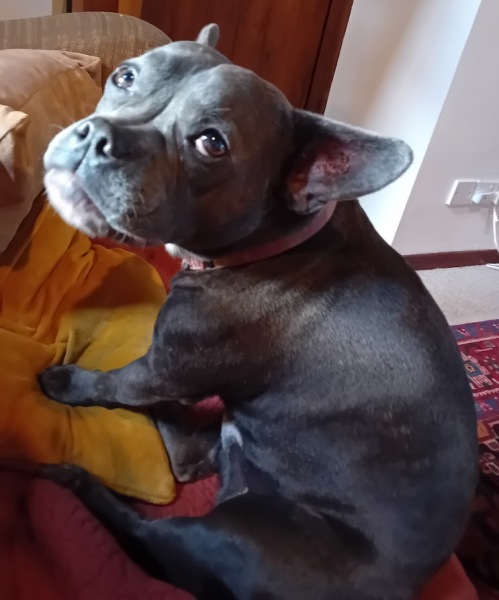 The Continuing Support Thread for Anyone Trying to Lead an Alcohol-Free Life Autumn 2024