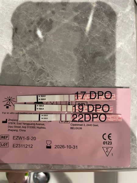 Pregnancy after loss part 2