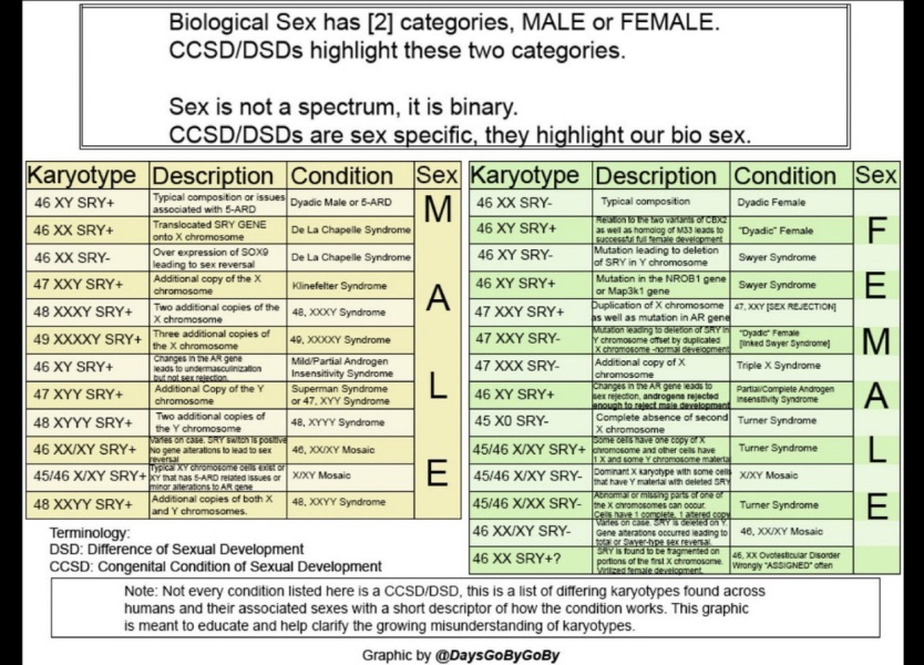 Can a XX woman go through male puberty?