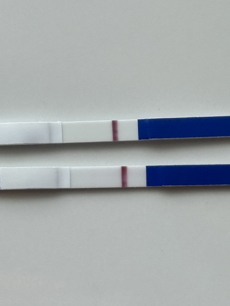 10dpo