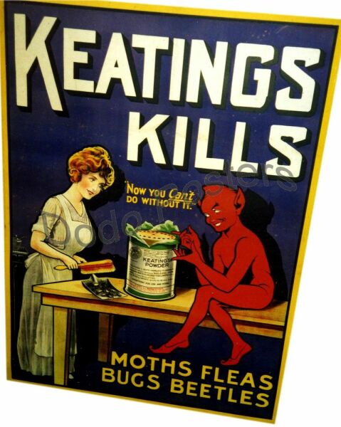 Please help if you have had bed bugs