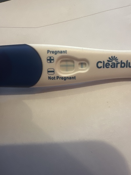 Do you see what I see?