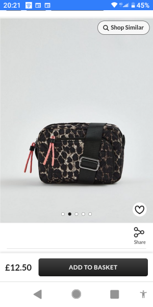 Ganni leopard print tech bag dupe?