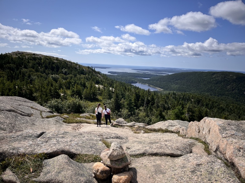 The Great Cancer Recovery part 3