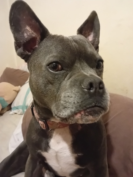 The support thread for anyone trying to lead an alcohol free life.