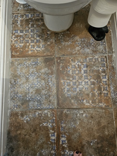 Which of these paint colours for this tiny loo? With pictures