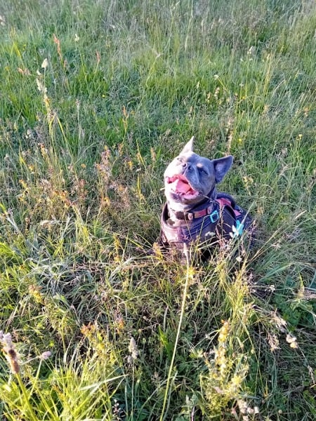 The support thread for anyone trying to lead an alcohol free life.