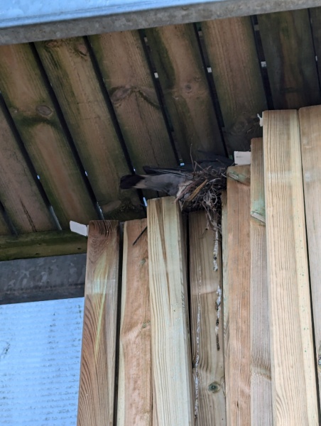 Thread 6 Starmer: We're going to need a bigger skip!