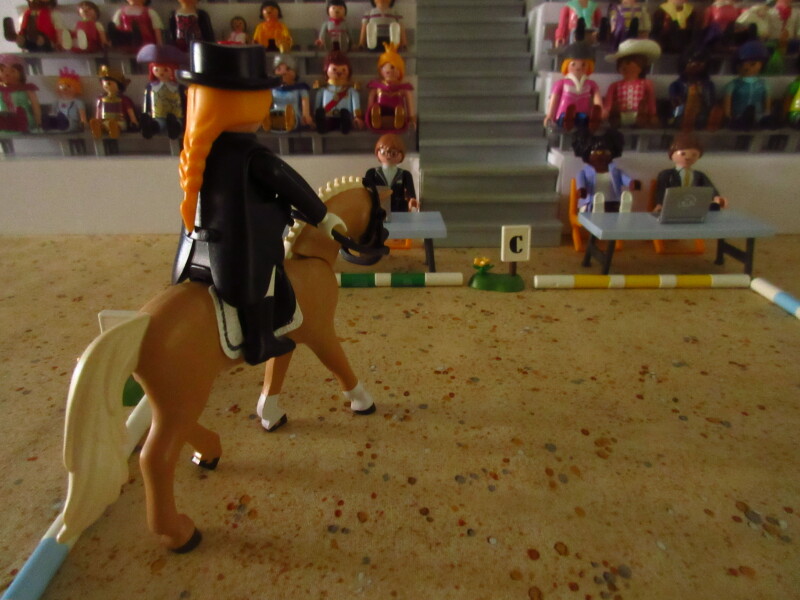 It's time for the Olympic Games for the Playmobil people in our house...