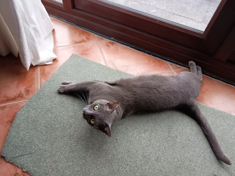 Thread 5 Starmer: keeping on keeping on