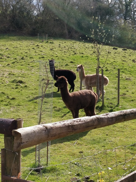 Thread 6 Starmer: We're going to need a bigger skip!