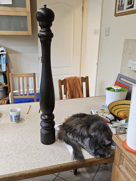 no not have pepper in the house?