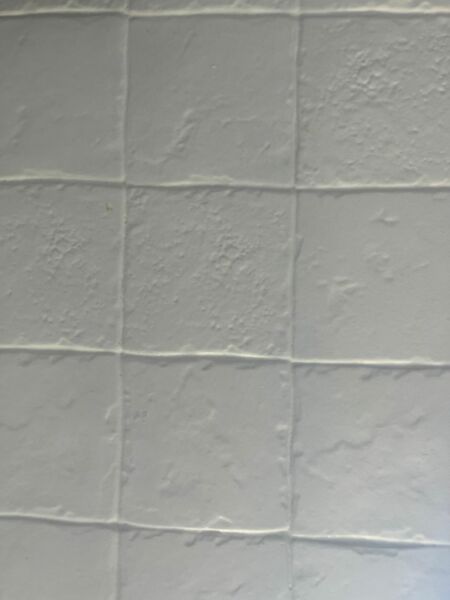 Re-grouting painted tiles
