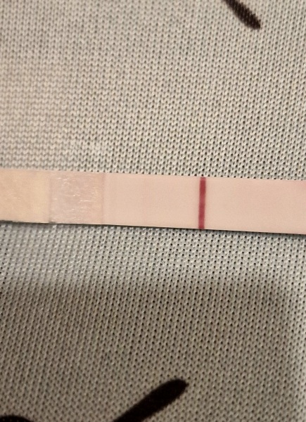 10 dpo, can you see it?