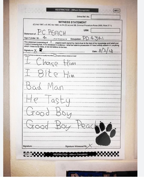 To be embarrassed to be from Hull right now?