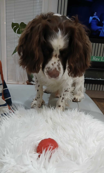 Thread 6 Starmer: We're going to need a bigger skip!