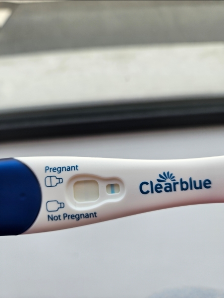 Clear blue test. Evap line or positive
