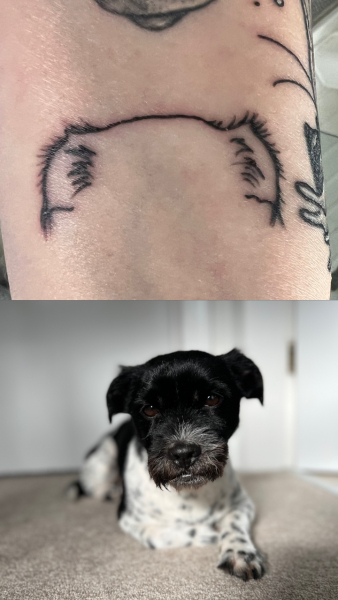 URGENT - DOG ATTACKED PARTNER **Please read OP's latest updates**  [edited by MNHQ]