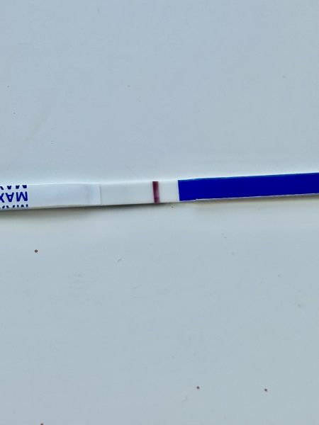 10dpo