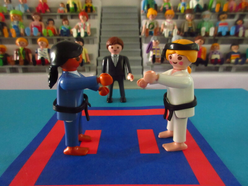 It's time for the Olympic Games for the Playmobil people in our house...