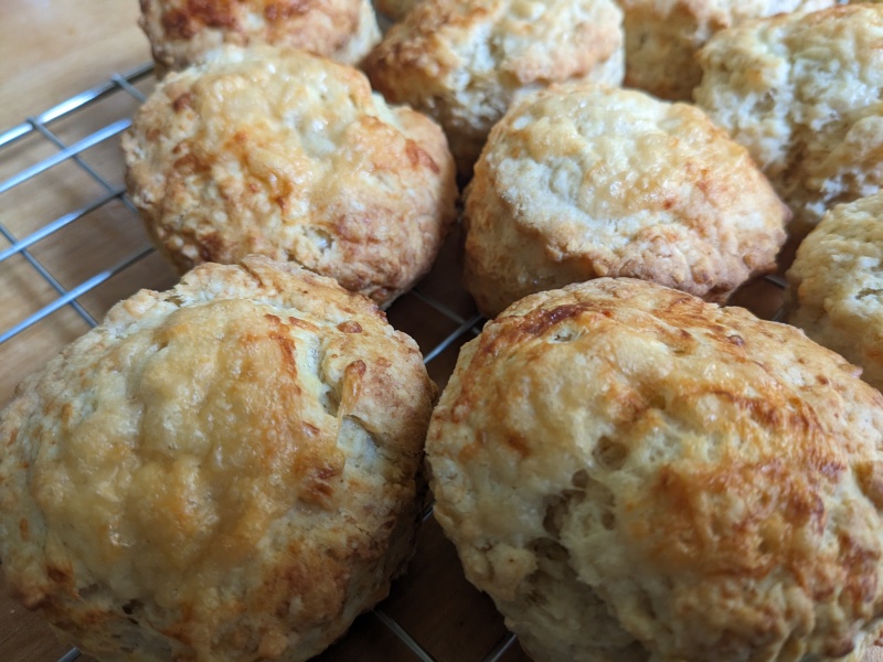 Bluestocking - the second leg