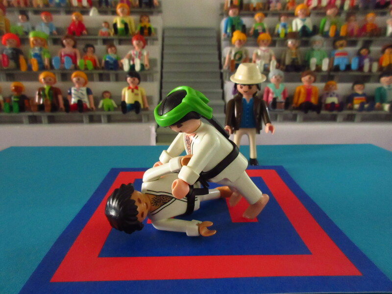 It's time for the Olympic Games for the Playmobil people in our house...