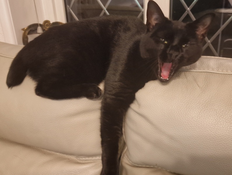 Thread 6 Starmer: We're going to need a bigger skip!