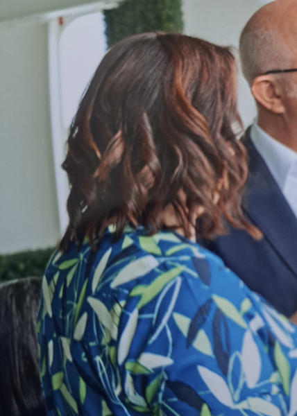 MN has spoken, fascinators are awful, wide headbands are OK, your thoughts on this one please