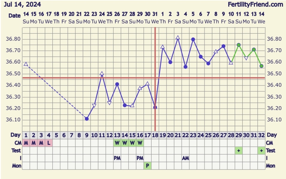 TTC after chemical pregnancy