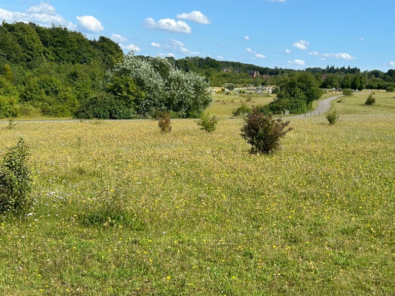 Pub lunch and walk - Basingstoke area?