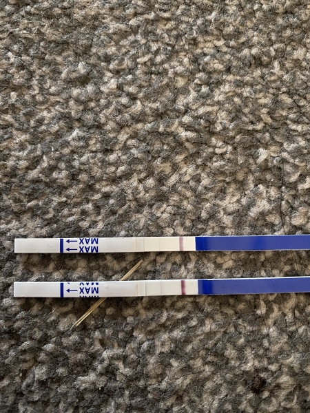 Are these evap lines????