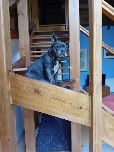 The support thread for anyone trying to lead an alcohol free life.