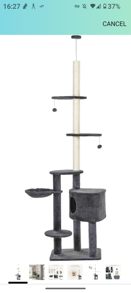 Passports, buckets and spades - the Excellent Cats go on their holidays