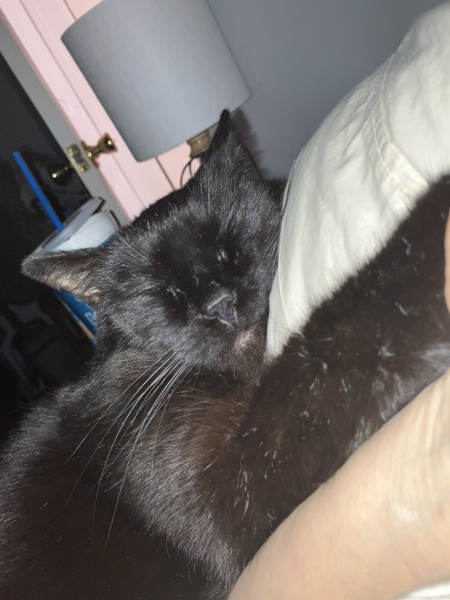 Come and tell me your dull and unexciting news 30: Calmly through the day