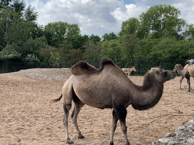 Thread 6 Starmer: We're going to need a bigger skip!