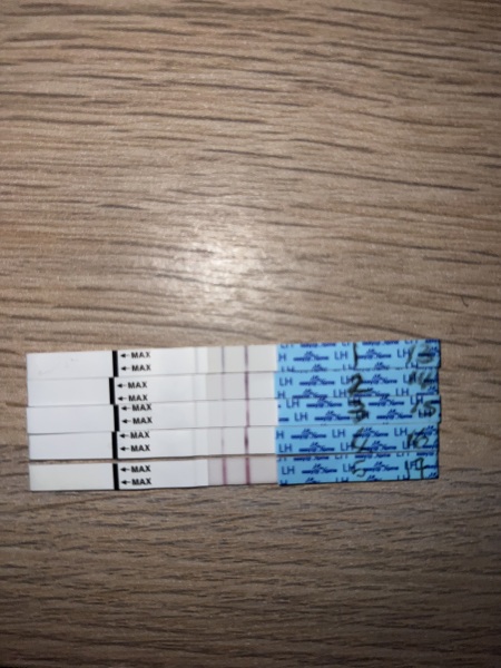 Anyone about to go into an ovulation week?