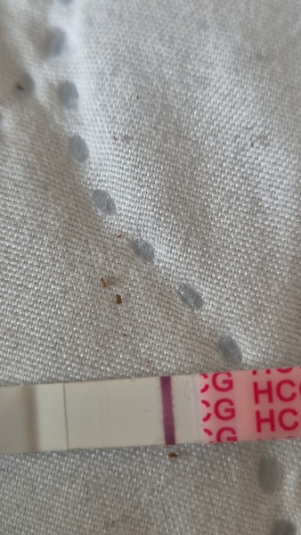 Vvvfl but negative digital?