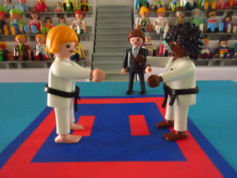 It's time for the Olympic Games for the Playmobil people in our house...